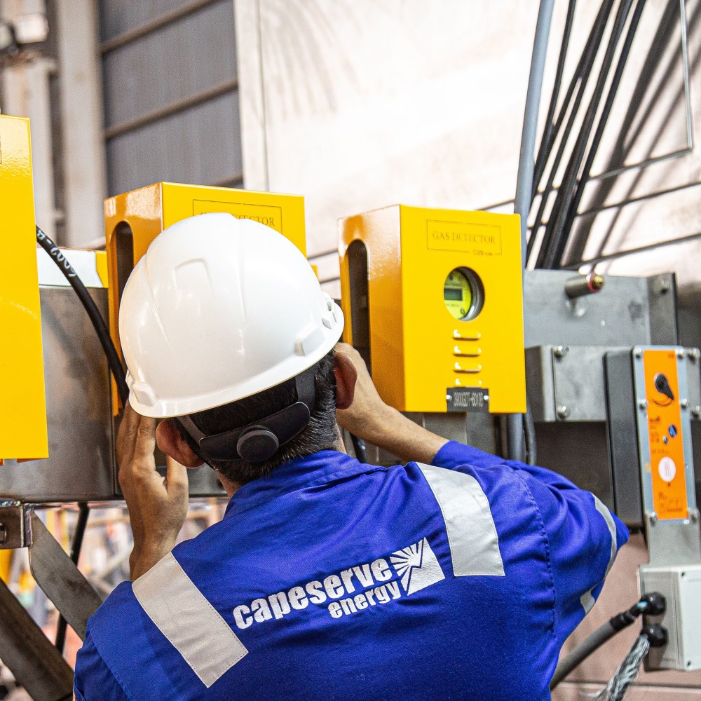 Capeserve Energy - Training